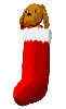 calzino immagini-animate-gif